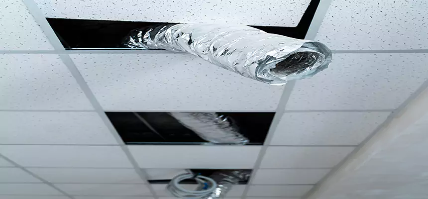 Our Air Duct Pet Hair Removal Services in Helena, AL