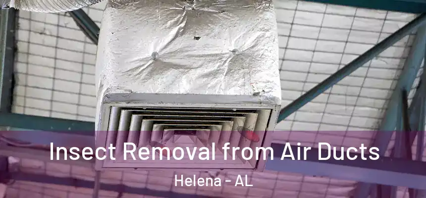  Insect Removal from Air Ducts Helena - AL