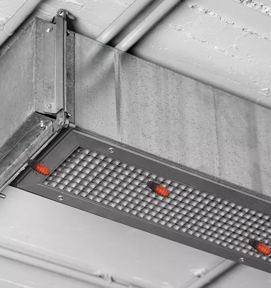 About Air Duct Cockroach Removal in Helena, AL