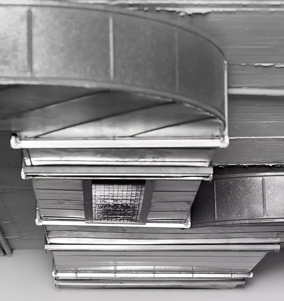 Professional Air Duct Pet Hair Removal in Helena, AL