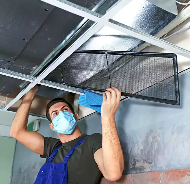 Why Homeowners Businesses Trust Us in Helena, AL